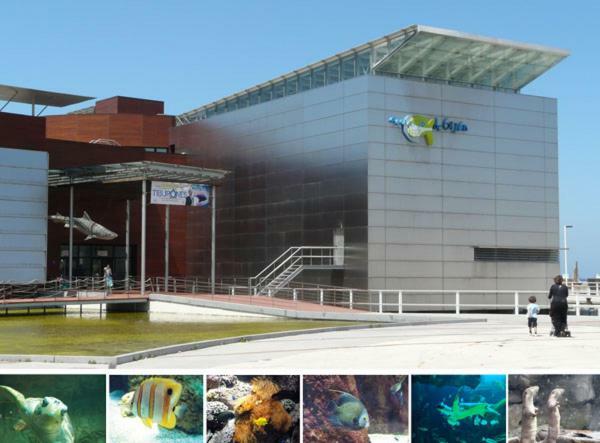 Primera Linea Playa+Parking Gratis Gijon Exterior photo